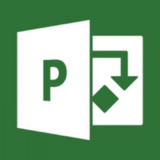 Microsoft Project Professional 2021
