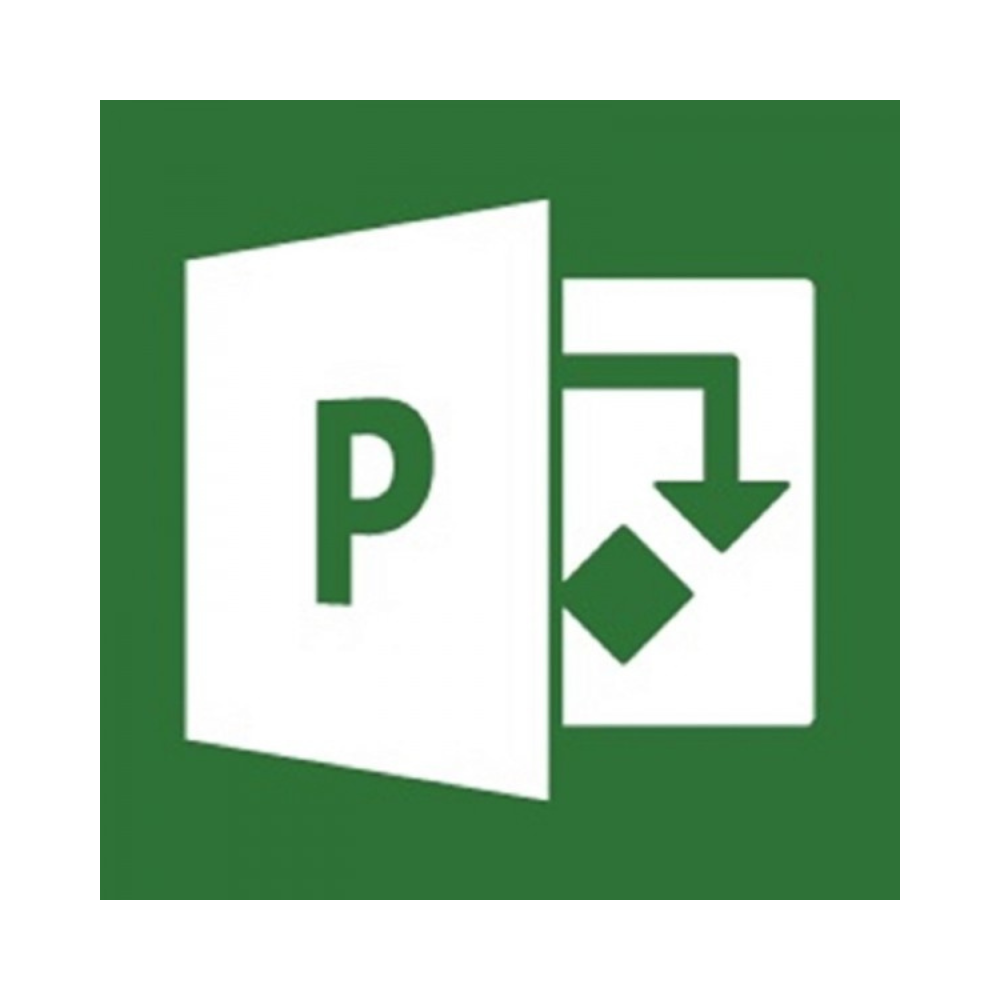 Microsoft Project Professional 2021