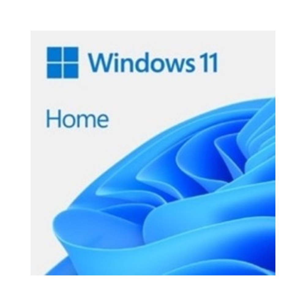 WINDOWS 11 Famille