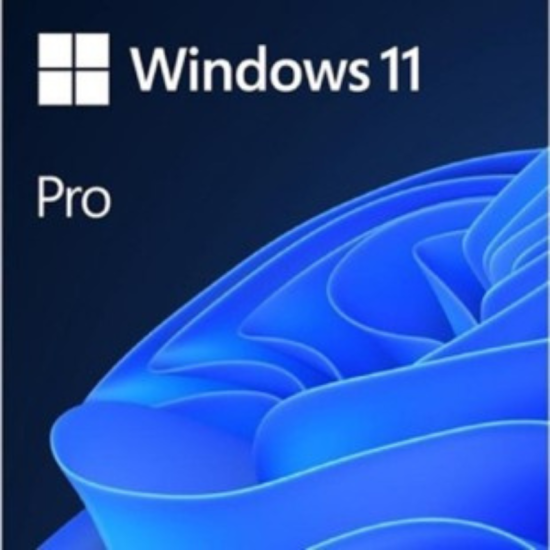 Windows 11 Professionnel