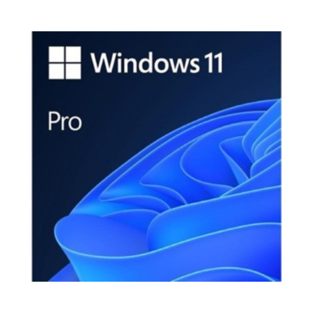 Windows 11 Professionnel